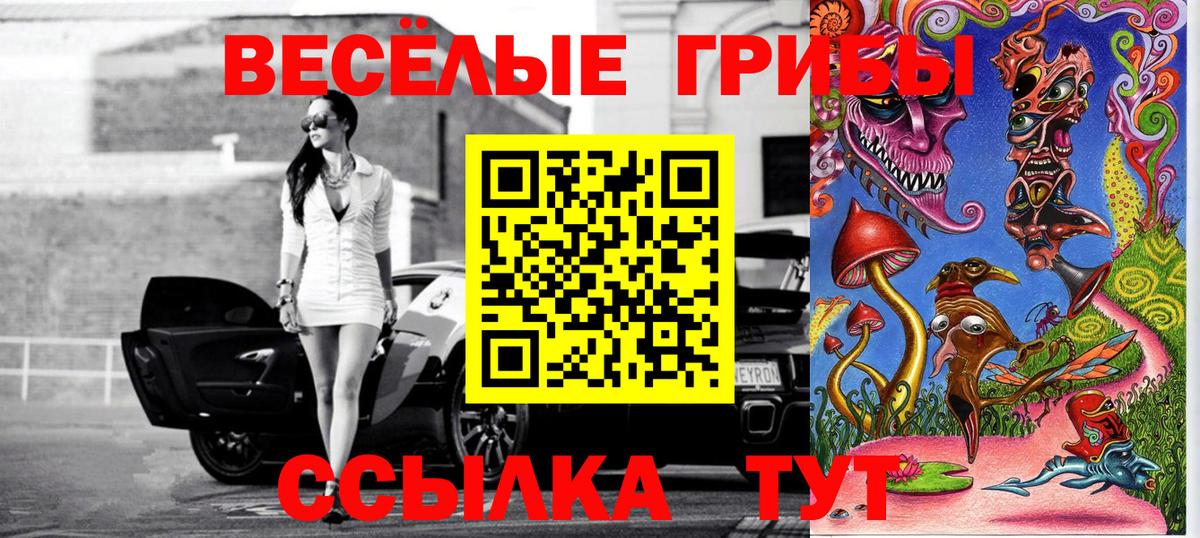 Галлюциногенные грибы мицелий  Вход с VPN  Видное  Галлюциногенные грибы ЛСД 