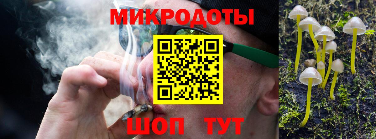 Псилоцибиновые грибы Psilocybine cubensis Видное
